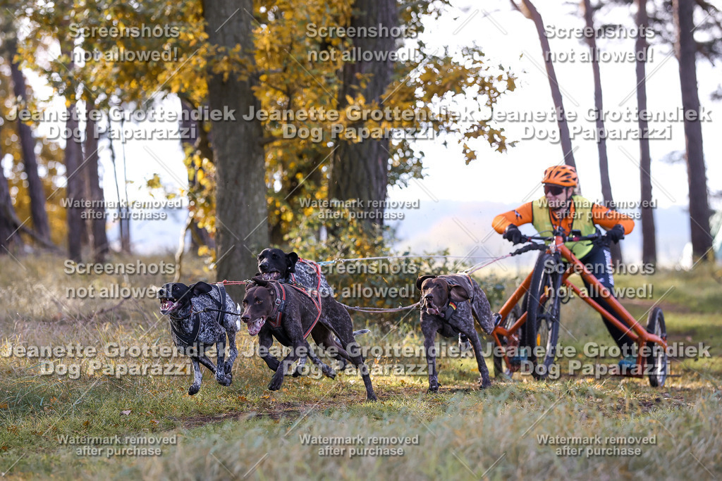 Dog Paparazzi - Elsholz 25 -84 | Dog Paparazzi Jeanette Grottendiek Fotografie & Videografie - Realisiert mit Pictrs.com