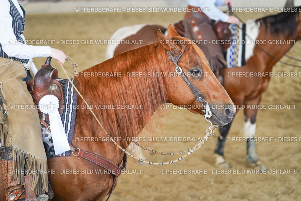 DSC09026 | Pferdegrafie