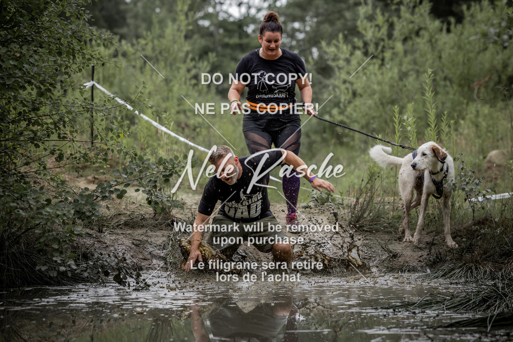 nelerasche_so0800-0930_420 | nelerasche