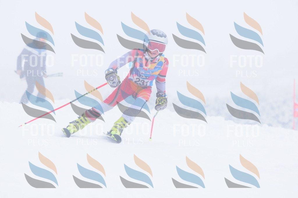 C2424 | holidayphoto