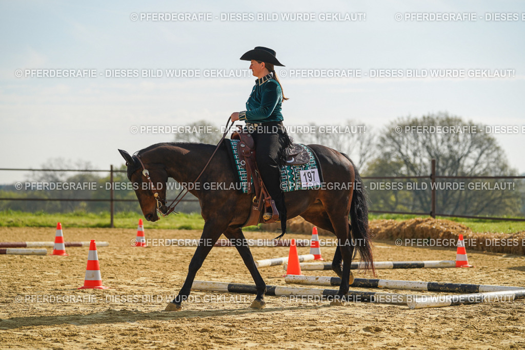 DSC00987 | Pferdegrafie