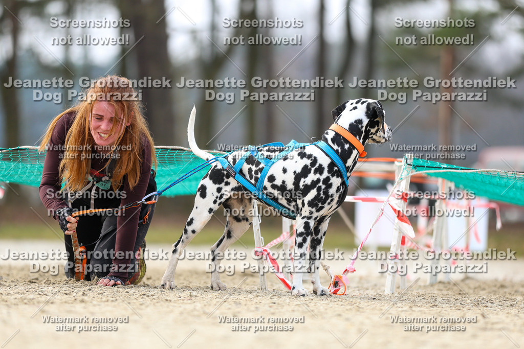 Dog Paparazzi - Strongdog North Mrz26-4752 | Dog Paparazzi Jeanette Grottendiek Fotografie & Videografie - Realisiert mit Pictrs.com