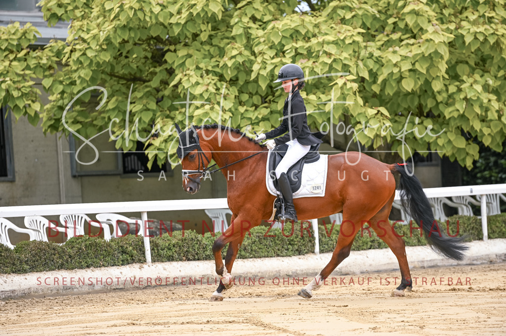 Schugtsche-Aluta25-42.EDressur -36 | Schugtsche Fotografie - Realisiert mit Pictrs.com