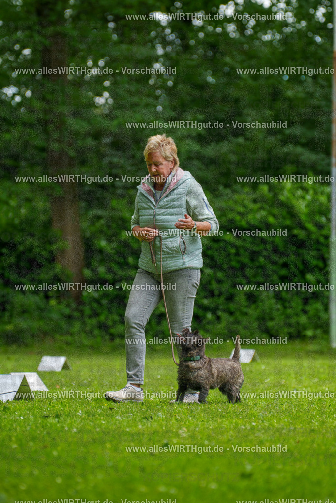@allesWIRTHgut_Tierfotografie - www.allesWIRTHgut.de - 130030-7R509664 | Professionelle Tierfotografie in Mönchengladbach von Daniel Wirth (allesWIRTHgut). Liebevolle & natürliche Bilder von Hunden & Katzen für unvergessliche Erinnerungen.