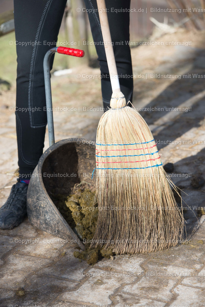 TS_20180305_Pferde__ppel_0004 | Foto: Thomas Hartig