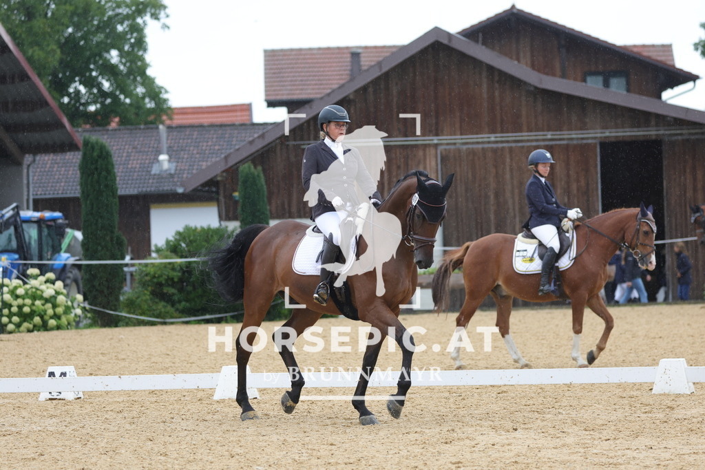 0P6A0680 | Willkommen bei Brunnmayr - Design & Fotografie – Ihrem Spezialisten für Reitturniere und Pferdeveranstaltungen in Oberösterreich, Salzburg und Bayern! Seit über 17 Jahren sind wir leidenschaftlich dabei.