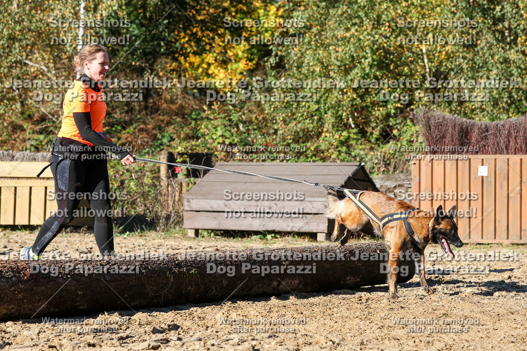 Dog Paparazzi - Strongdog 10-25-2026 | Dog Paparazzi Jeanette Grottendiek Fotografie & Videografie - Realisiert mit Pictrs.com