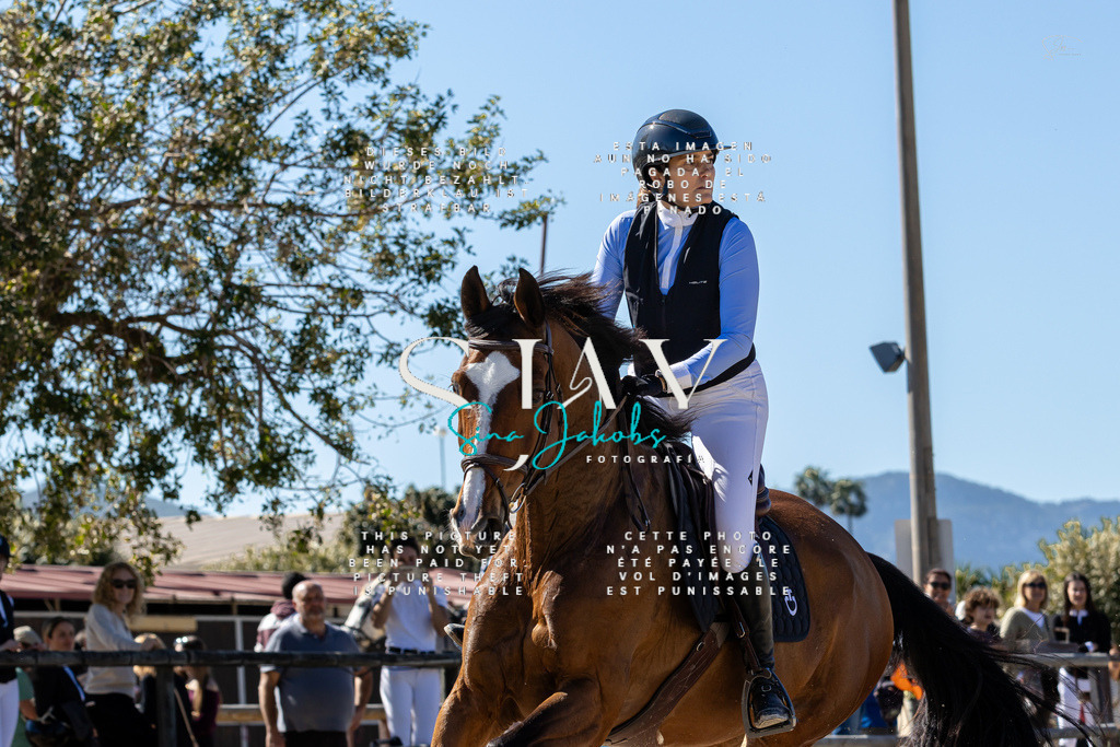 IMG_0190 | s-jay-photography - Realisiert mit Pictrs.com