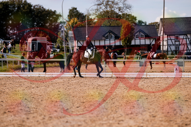 2026_10_03_Siefer-Hof_133903_Z81_98311972 | Professionelle Reitsport-, Turnier- und Eventfotografie von Robert Broda. Galerien mit ausgewählten und bearbeiteten Bildern direkt online ansehen und bestellen.