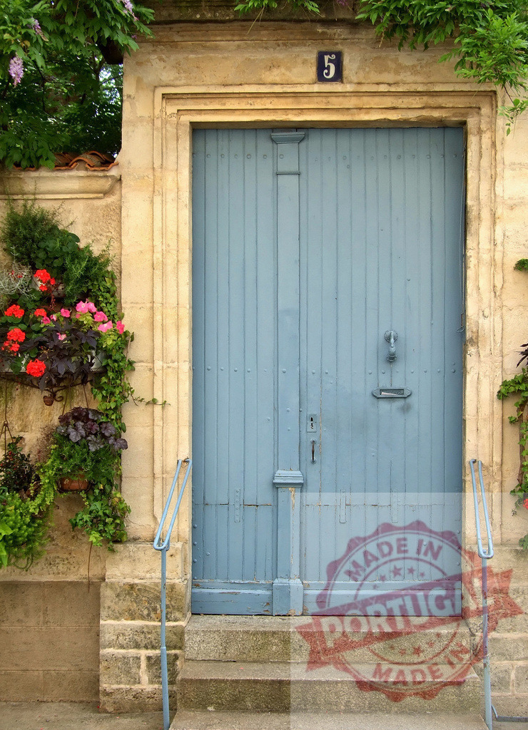 Blue wooden door number 5 on old stone house | Blue rustic door with a house number and potted plants framing the entrance - Realized with Pictrs.com