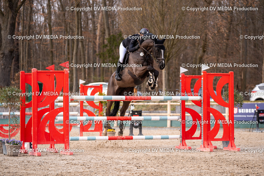 Kranichstein Tag 2-2246 | dv-media-shop - Realisiert mit Pictrs.com