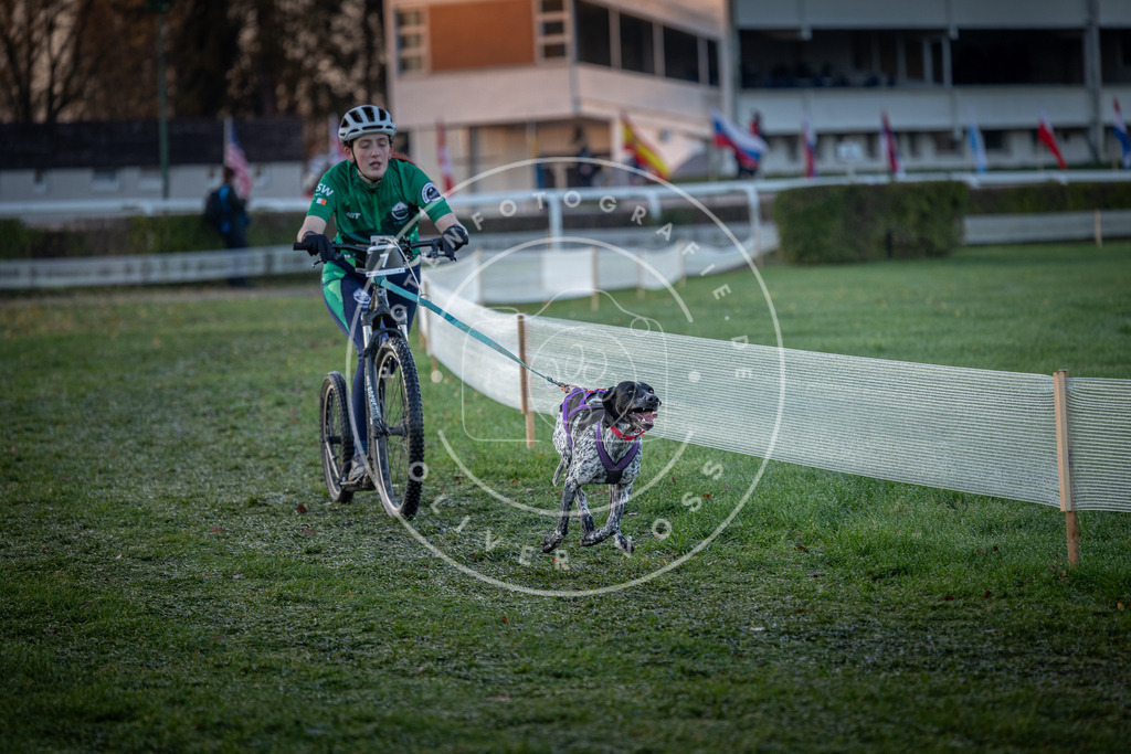 CaniXpix_0L8A0957 | Hundefotografie, Tierfotograf, Pfotenfotografie, Fotoshooting Hund, Hunde Portrait, Hundesport, Hundeportraits, Heideshooting, Hunde, Sportfotograf, Hundefotograf, Turnierhundsport, THS,  - Realisiert mit Pictrs.com