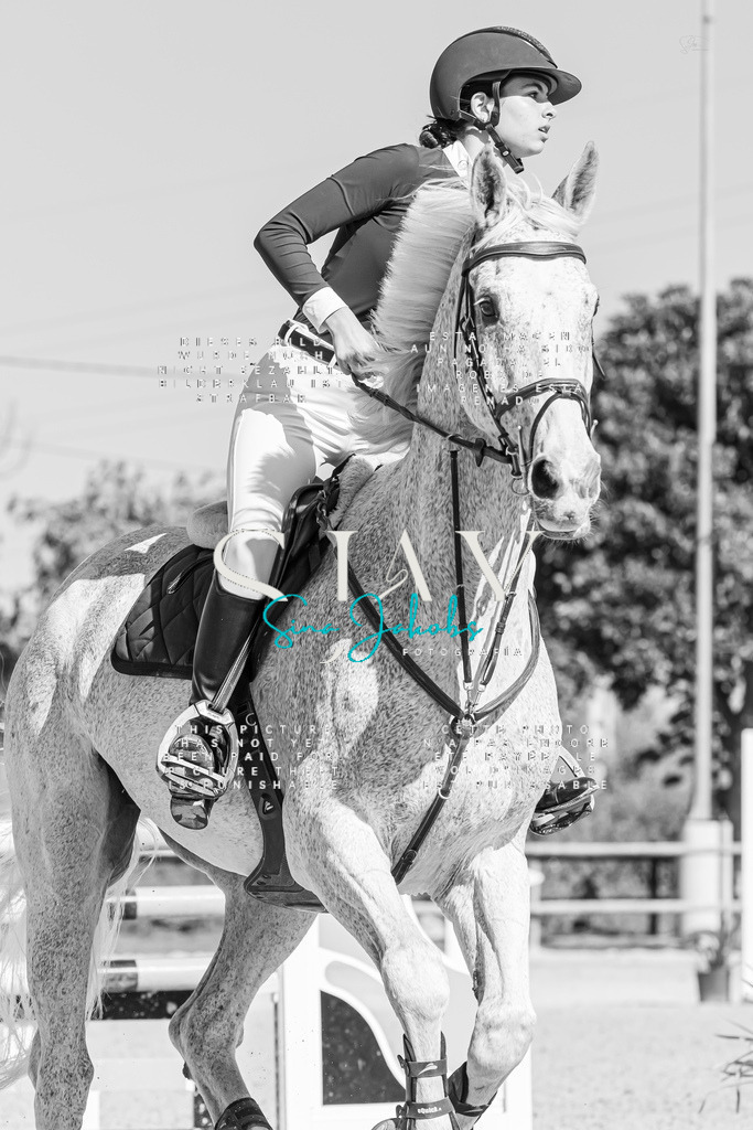 IMG_0972 | s-jay-photography - Realisiert mit Pictrs.com