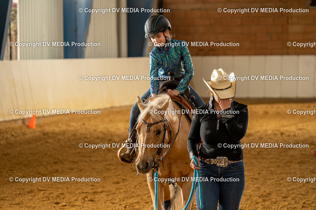 MIT01242 | dv-media-shop - Realisiert mit Pictrs.com