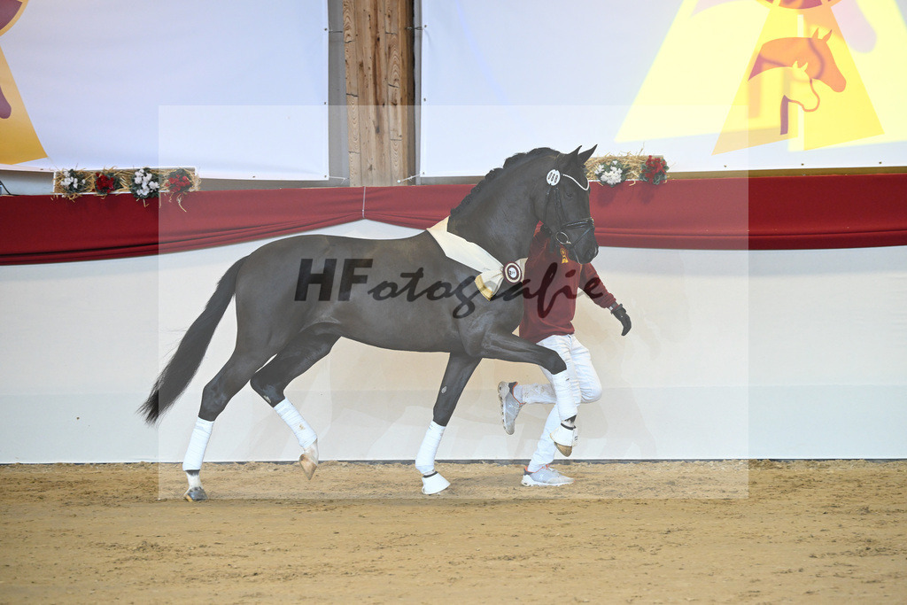 Kat-Nr. 68 Secret_Reich_1232151 | hf-fotografie - Realisiert mit Pictrs.com