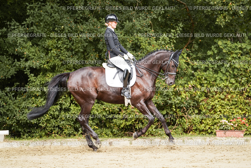 DSC02313 | Pferdegrafie