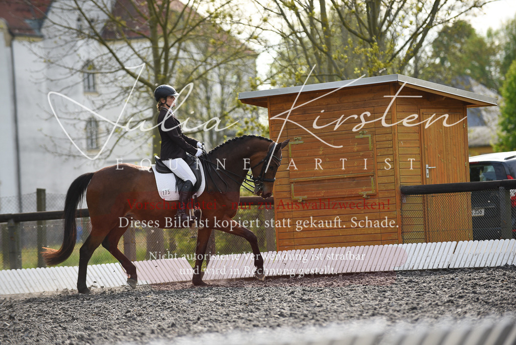 20230513_JK-Röhrsdorf-17-342 | Pferde- und Turnierfotografie in Westsachsen. Pferdeportraits, Auftragszeichnungen und intuitive Kunst.