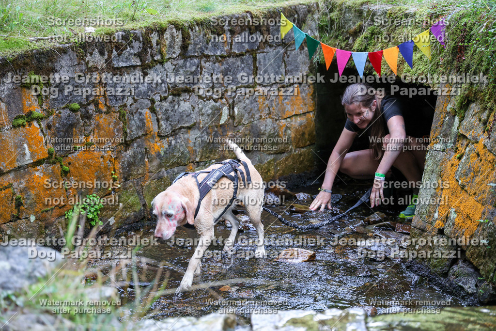 Dog Paparazzi -  TH 26-581 | Dog Paparazzi Jeanette Grottendiek Fotografie & Videografie - Realisiert mit Pictrs.com