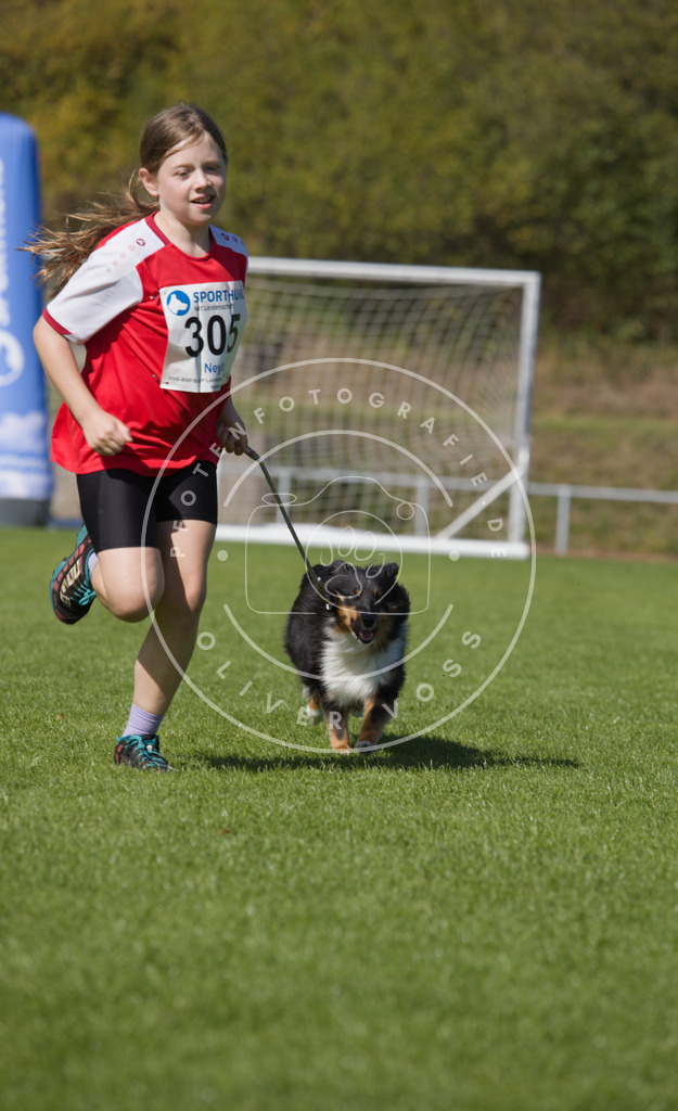 0L8A7278 | Hundefotografie, Tierfotograf, Pfotenfotografie, Fotoshooting Hund, Hunde Portrait, Hundesport, Hundeportraits, Heideshooting, Hunde, Sportfotograf, Hundefotograf, Turnierhundsport, THS,  - Realisiert mit Pictrs.com