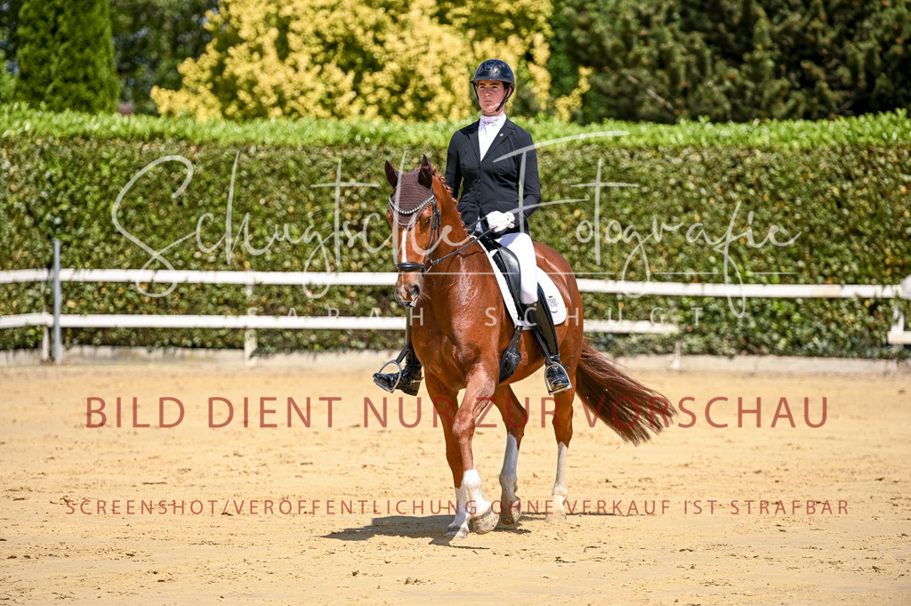 Schugtsche-Aluta25-49.Dressurpferdeprf.A-84 | Schugtsche Fotografie - Realisiert mit Pictrs.com