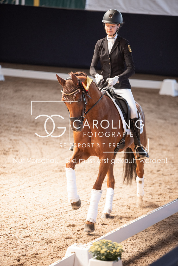 DSC_3511 | Carolin Gieschke