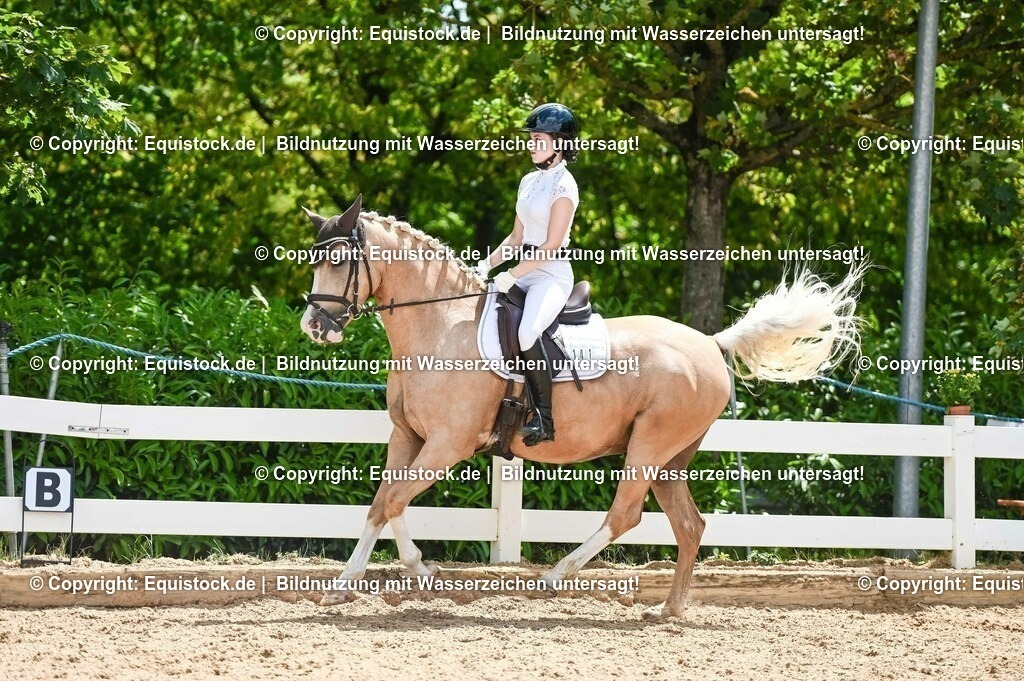 20230715_09_Dressur-WB_0498 | equistock