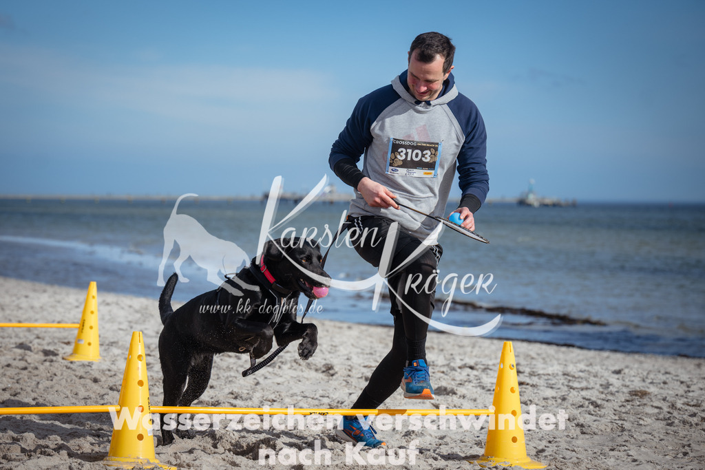 1322_ZZ91429 | kk-dogfotos