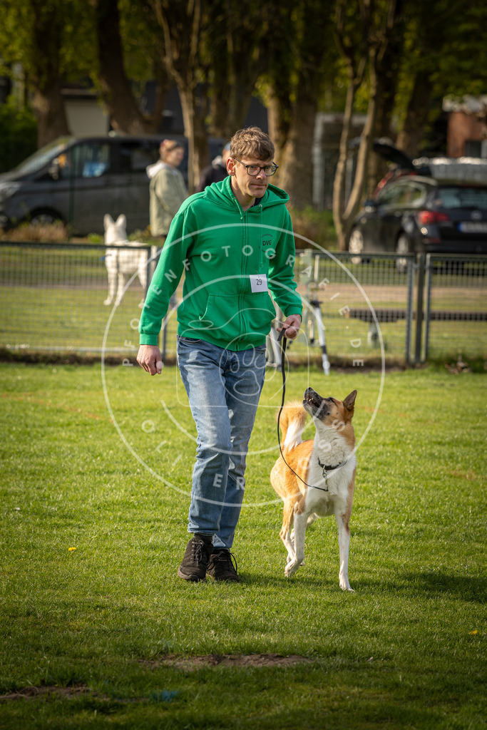Pfotenfotografie_DV3A4883 | Hundefotografie, Tierfotograf, Pfotenfotografie, Fotoshooting Hund, Hunde Portrait, Hundesport, Hundeportraits, Heideshooting, Hunde, Sportfotograf, Hundefotograf, Turnierhundsport, THS,  - Realisiert mit Pictrs.com