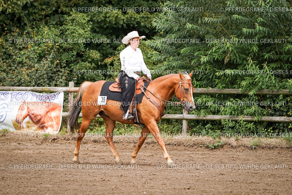 DSC06792 | Pferdegrafie