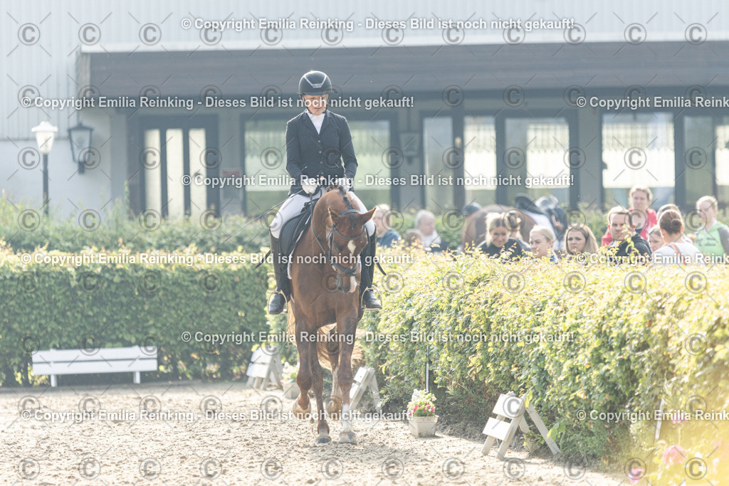 CL5A3718 | Emilia Reinking Fotografie - Realisiert mit Pictrs.com