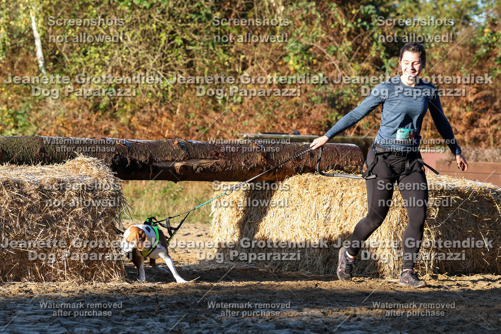 Dog Paparazzi - Strongdog 10-25-870 | Dog Paparazzi Jeanette Grottendiek Fotografie & Videografie - Realisiert mit Pictrs.com