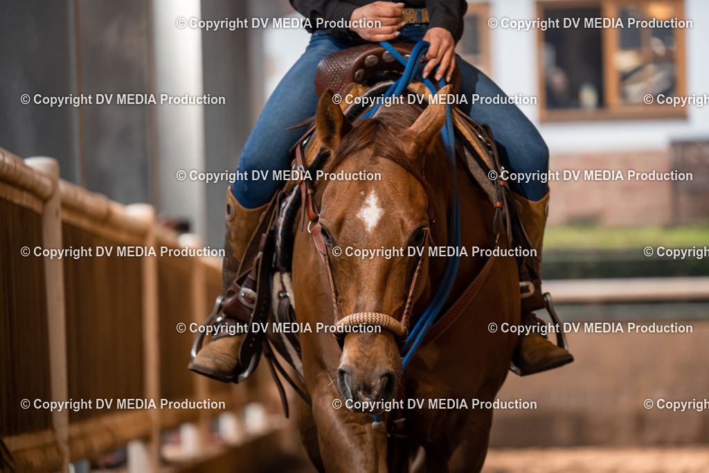 Erbach Tag 2-253 | dv-media-shop - Realisiert mit Pictrs.com