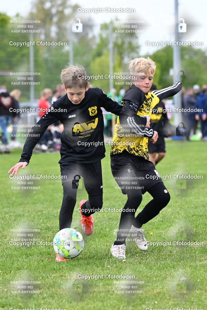 DSC_0337 | PSV Norden (schwarz) / TuS Strudden (gelb,schwarz)  