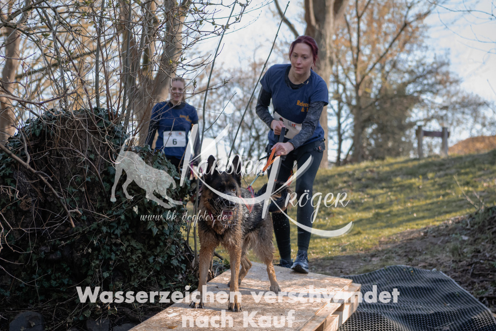 0813_ZZ90137 | kk-dogfotos