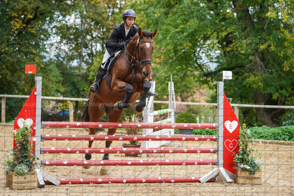 20221009-FAH08830 | Diessen am Ammersee, 2022, Dressur- und Springturnier, Reitsportbilder, Turnierfotografen Bayern, Pferdefotografen, Fotoagentur Herrmann, Turnierbilder