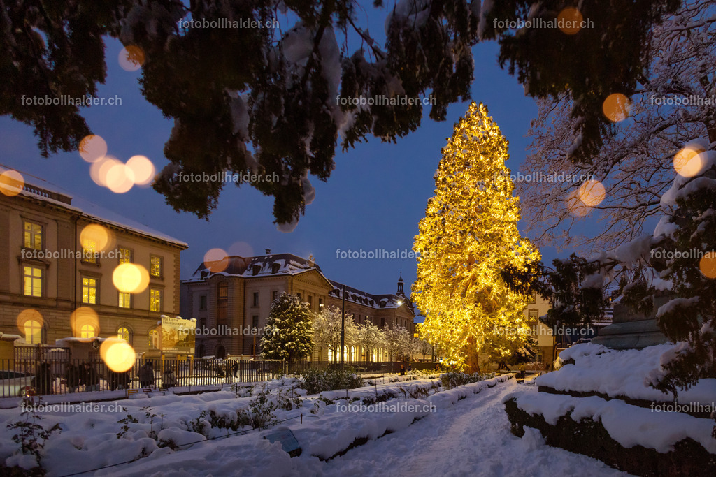 IMG_4759_1bo | Foto Bollhalder 