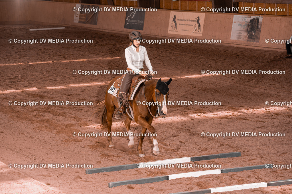 NE300371 | dv-media-shop - Realisiert mit Pictrs.com