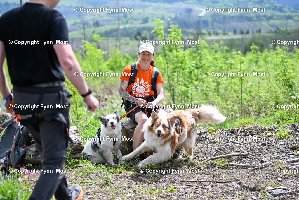 DSC_5670 | Hallo und herzlich Willkommen auf meiner Shop-Seite Fynn Most.

Ich wünsche Dir viel Spaß beim stöbern durch die Bilder, wenn Du Fragen hast oder Bilder vermisst, kannst du mir gerne eine Nachricht schreiben. - Realisiert mit Pictrs.com