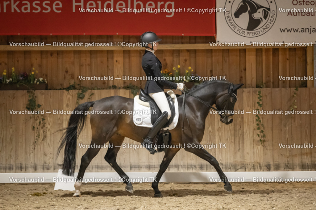 _D5A0830 | Emotionale Pferde- & People-Fotografie rund um Heidelberg, Leimen & Umgebung. Natürliche Fotos von Pferd, Mensch & Familie. Jetzt Termin sichern!