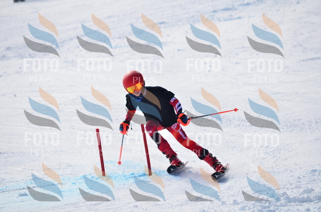 D0020 | holidayphoto