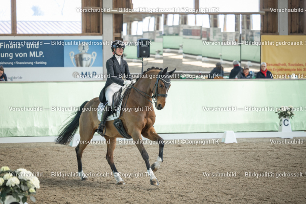 _D5A9835 | Emotionale Pferde- & People-Fotografie rund um Heidelberg, Leimen & Umgebung. Natürliche Fotos von Pferd, Mensch & Familie. Jetzt Termin sichern!