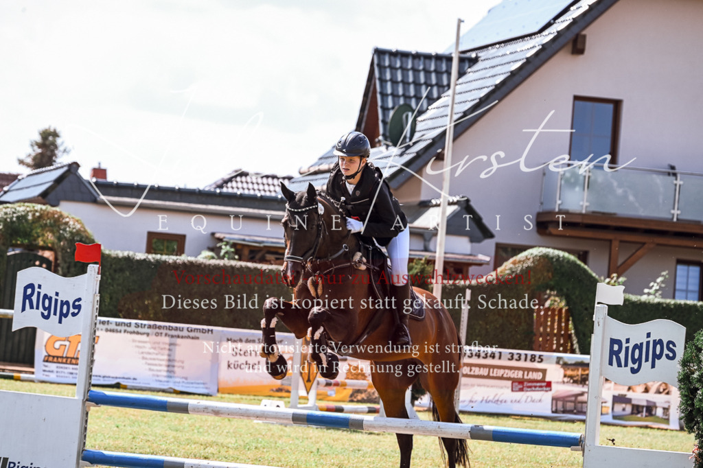 DSC_7118 | Pferde- und Turnierfotografie in Westsachsen. Pferdeportraits, Auftragszeichnungen und intuitive Kunst.