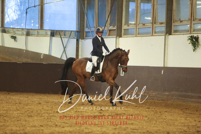 IMG_7010 | Turniersportfotografie; Pferdefotografie; Dressurfotografie