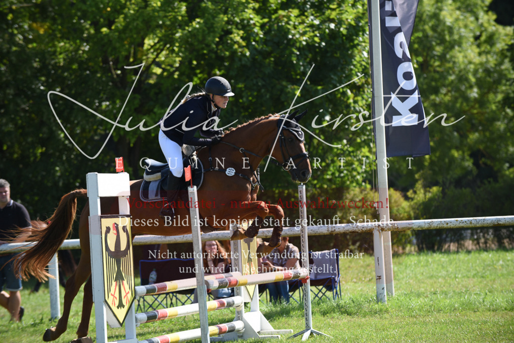 DSC_9229 | Pferde- und Turnierfotografie in Westsachsen. Pferdeportraits, Auftragszeichnungen und intuitive Kunst.