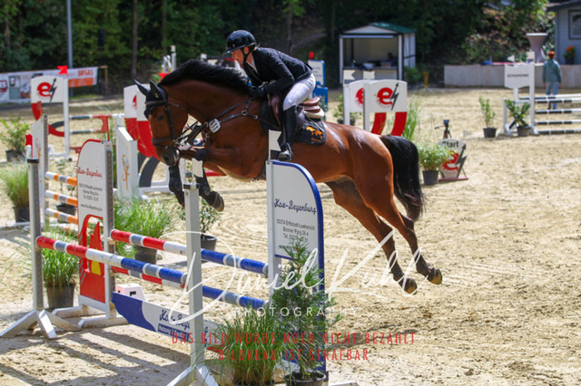 DKP40475 | Turniersportfotografie; Pferdefotografie; Dressurfotografie