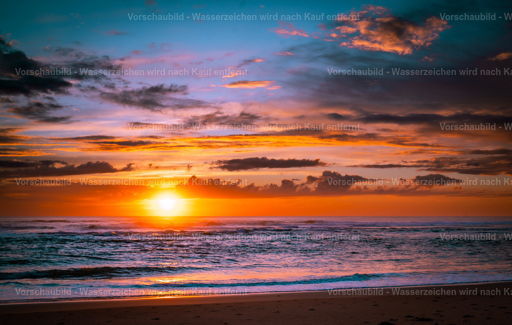 DSC01512 | marcuslinek