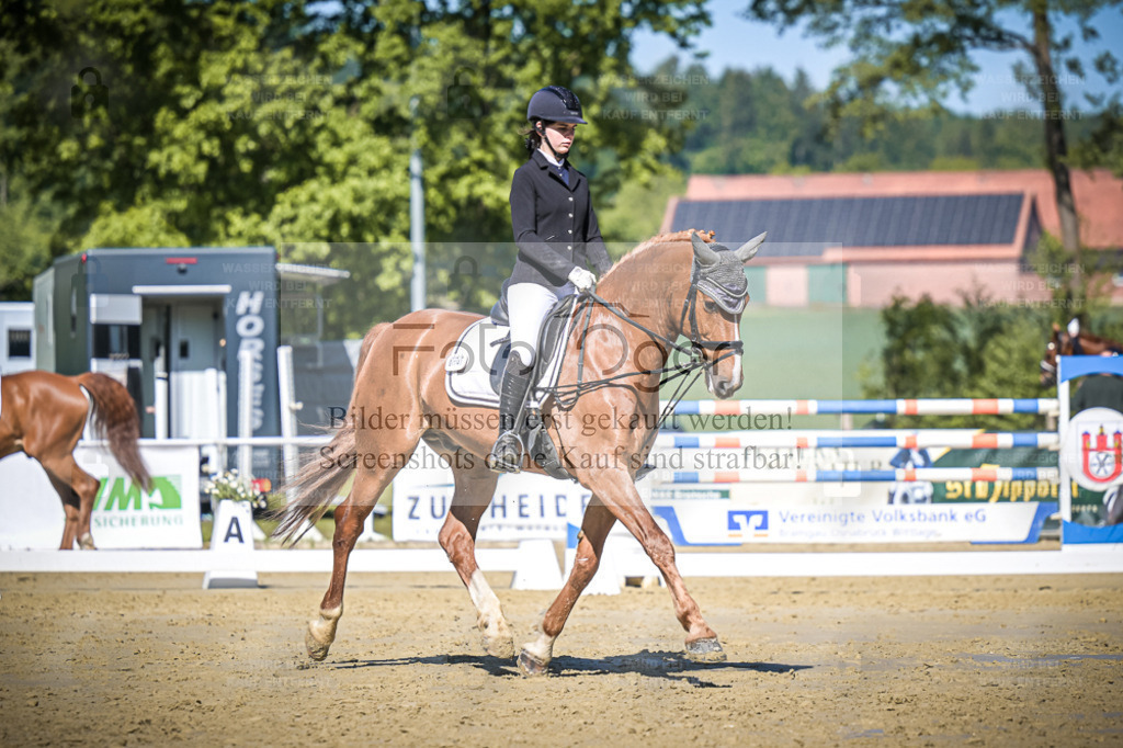 DOS_4300 | Entdecke hochwertige Reitturnierfotos von Foto Oger. Professionell, emotional und authentisch – jetzt Lieblingsmomente im Shop bestellen. - Realisiert mit Pictrs.com