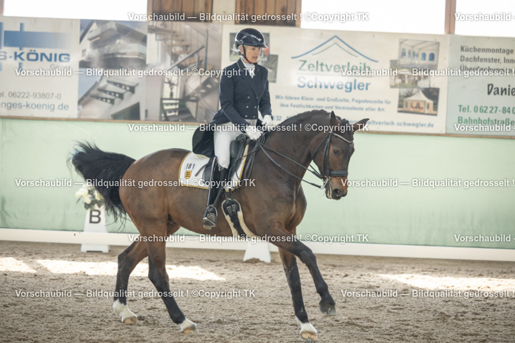 _D5A1537 | Emotionale Pferde- & People-Fotografie rund um Heidelberg, Leimen & Umgebung. Natürliche Fotos von Pferd, Mensch & Familie. Jetzt Termin sichern!