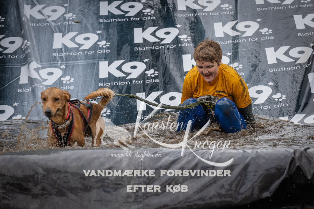 1253_ZZ90779 | kk-dogfotos