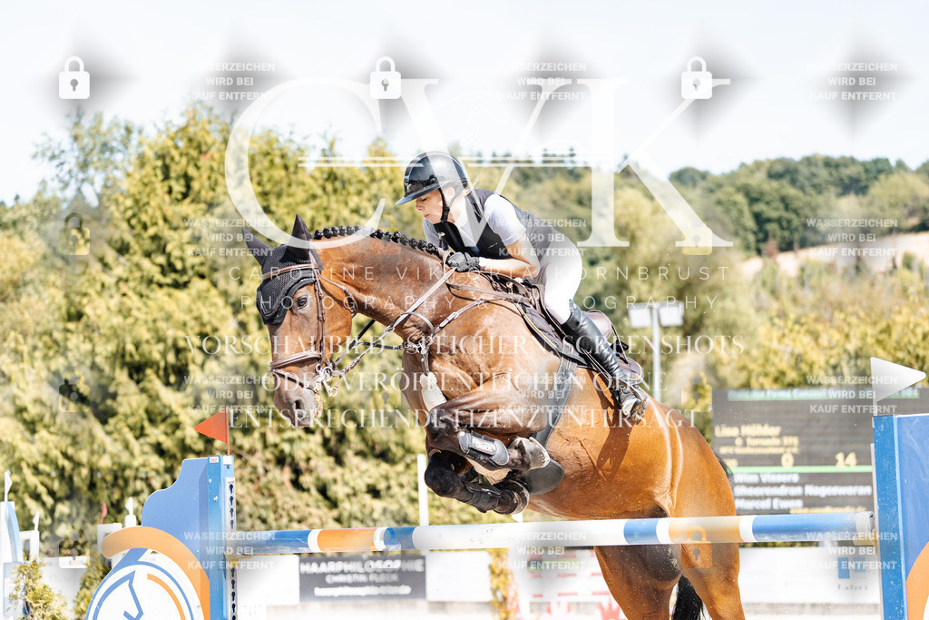 CK904923 | Turnierfotografie Pferdefotografie Trier Rheinland-Pfalz Pferdesport Reitsport Tierfotografie Sportfotografie Pferdevideo Pferdevideografie Equestrianvideography equestrianphotography  - Realisiert mit Pictrs.com